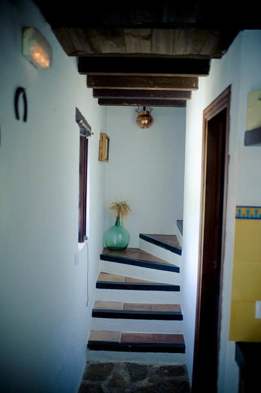 Hotel Enrique Calvillo El Bosque Ngoại thất bức ảnh