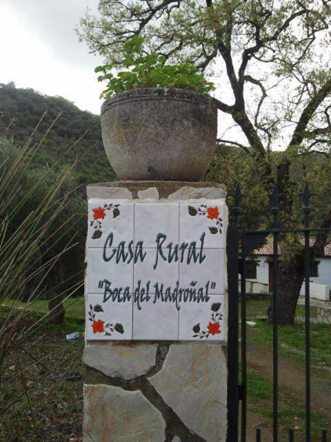 Hotel Enrique Calvillo El Bosque Phòng bức ảnh